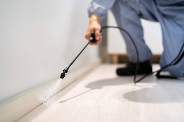 Licensed Pest Control service in Tinley Park, IL - Show Me Pest Control