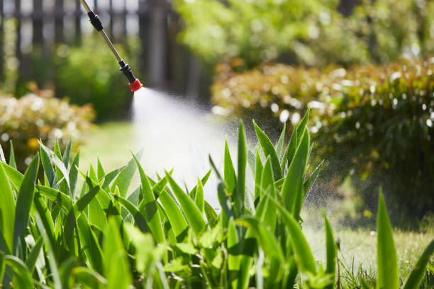 Tamper-Resistant Bait Stations for Rodents in Tinley Park