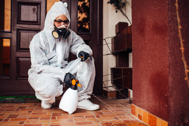 Attic and Crawl Space Rodent Treatment in Tinley Park