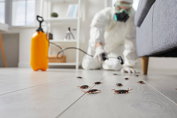 Commercial Rodent Management in Tinley Park